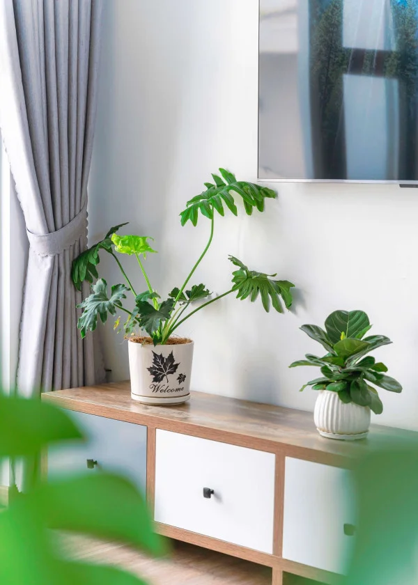 Ảnh Nhím Villa - 39