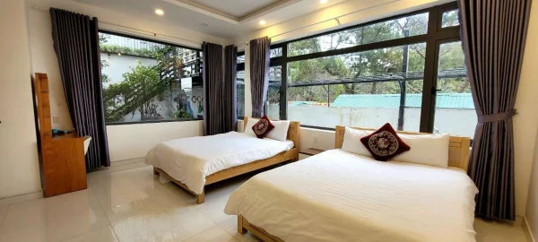 Ảnh Cẩm Tú Cầu 1 - 26