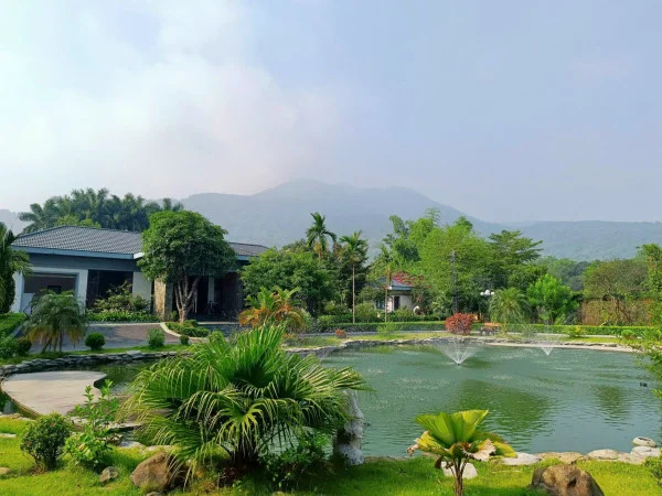 Ảnh Viva HB12 - 11