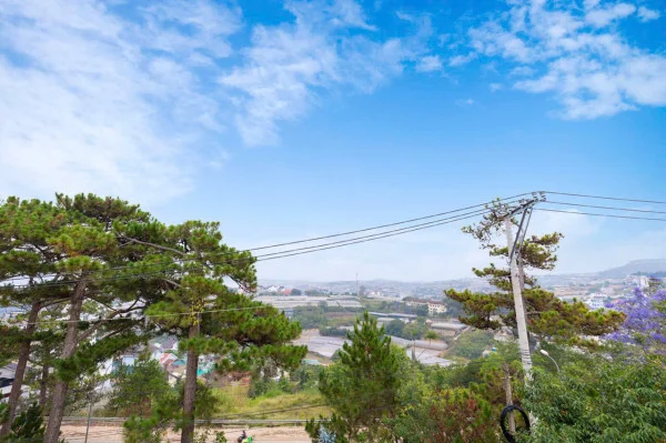 Ảnh Viva ĐL08 - 17