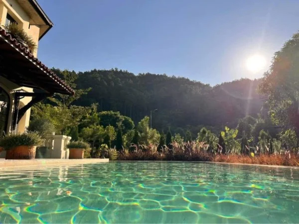 Ảnh Viva TĐ19 - 7