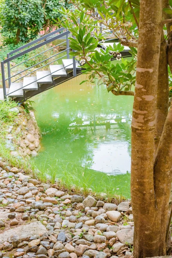 Ảnh Viva Homestay ĐL 12 - 13