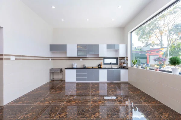 Ảnh Viva ĐL20 - 48