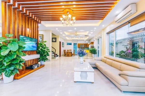 Ảnh Viva NT010 - 7