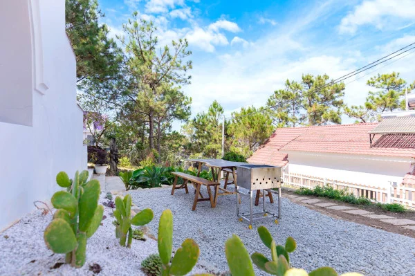 Ảnh Viva ĐL40 - 38