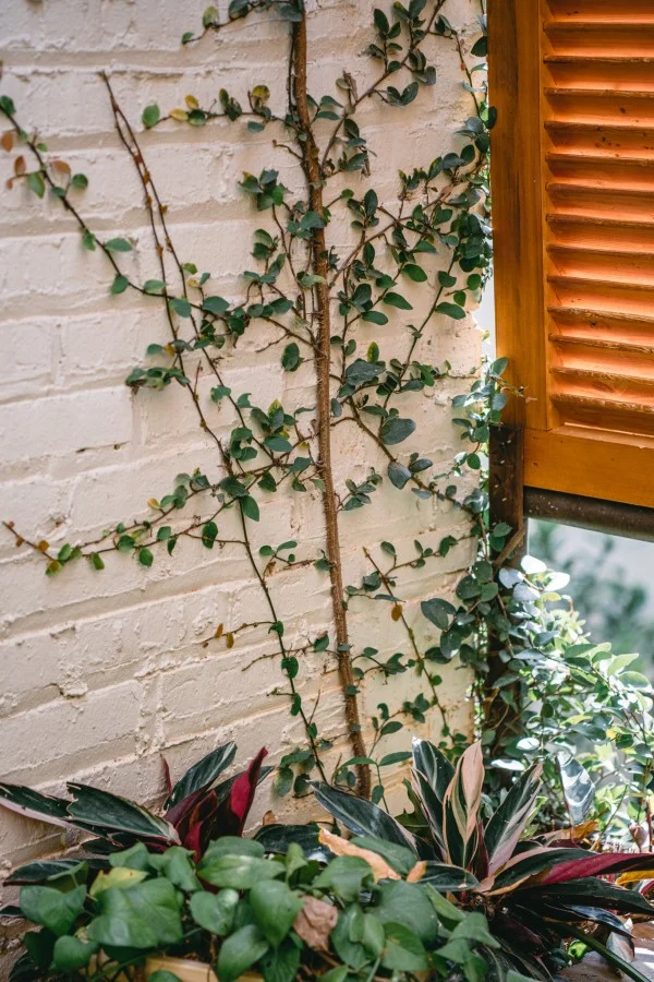 Ảnh Viva Homestay H8 - 10