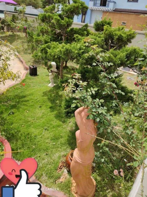 Ảnh Bảo Hân 3 - 13