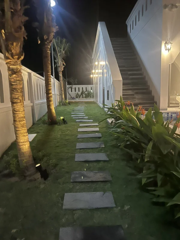 Ảnh Viva PT03 - 19