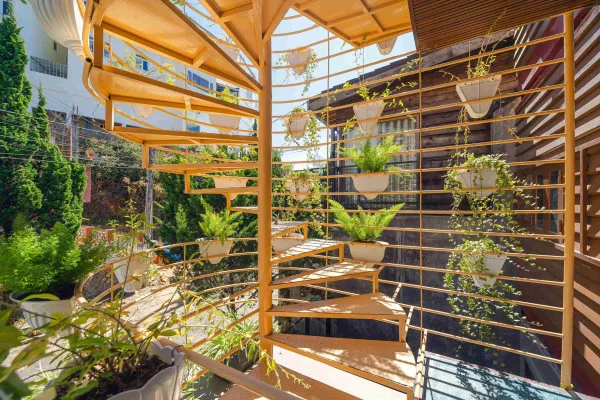 Ảnh Viva ĐL17 - 16