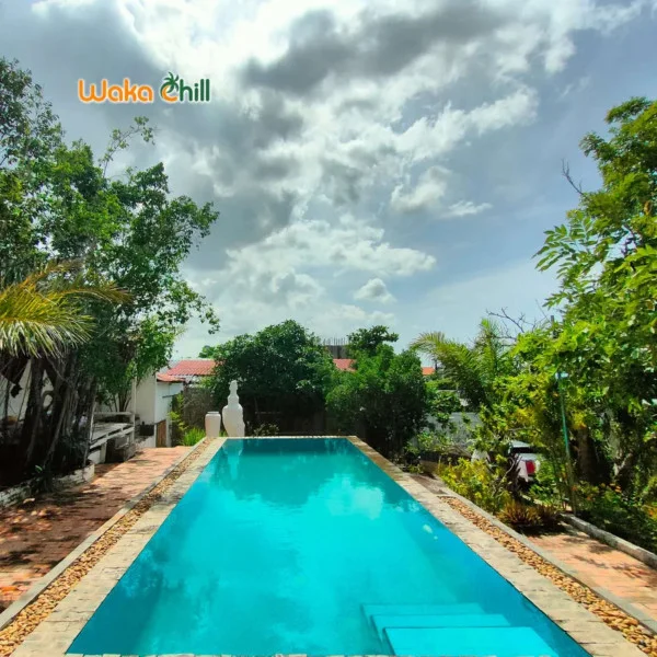 Ảnh Viva PT20 - 10