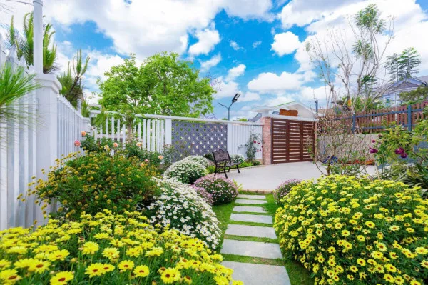 Ảnh Viva ĐL08 - 24