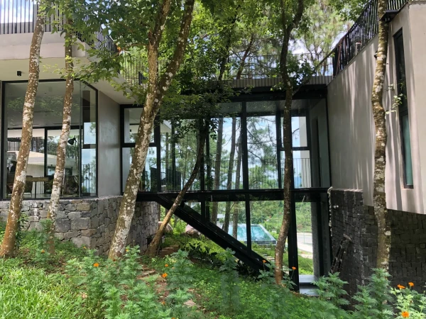 Ảnh Viva TĐ12 - 12