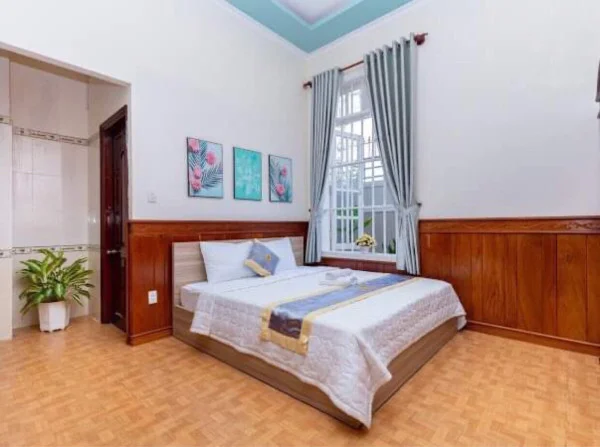 Ảnh Viva VT50 - 12