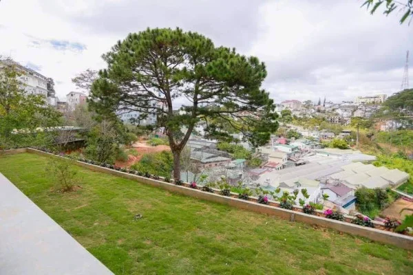 Ảnh Viva ĐL45 - 13