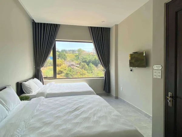 Ảnh Viva ĐL45 - 8