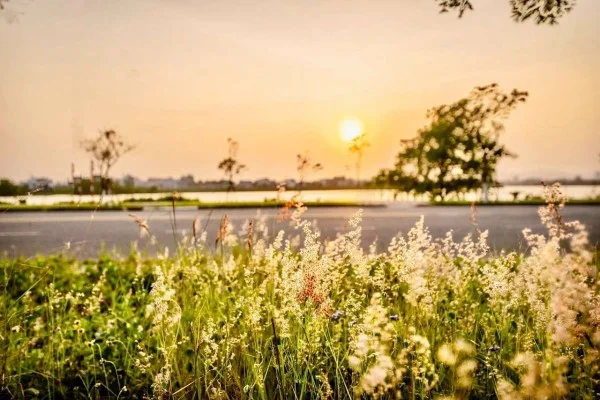 Ảnh Viva Homestay ĐN 04 - 10