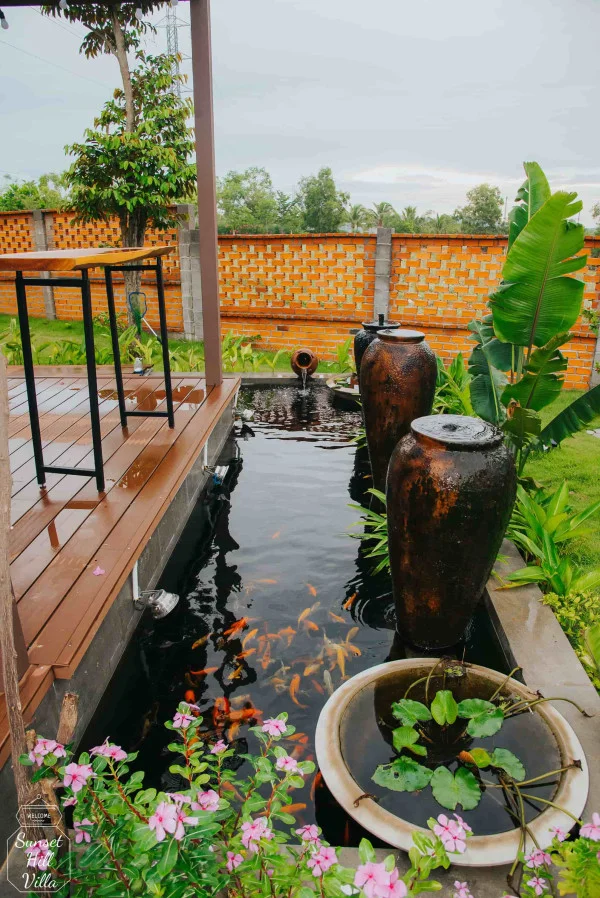 Ảnh Viva PT05 - 18