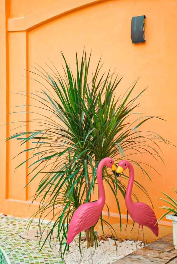 Ảnh Viva VT57 - 18