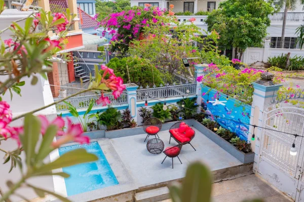 Ảnh Viva VT29 - 11