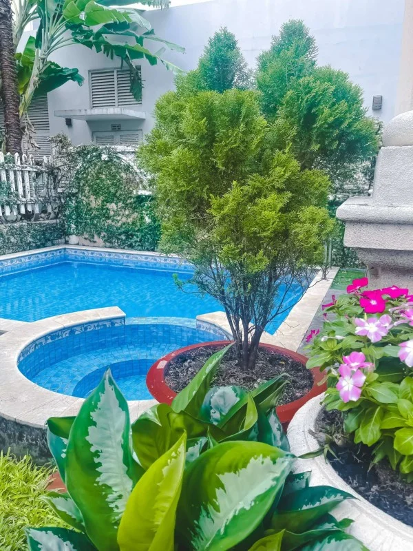 Ảnh Viva SG 03 - 12