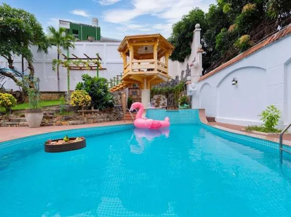 Ảnh Viva VT22 - 25