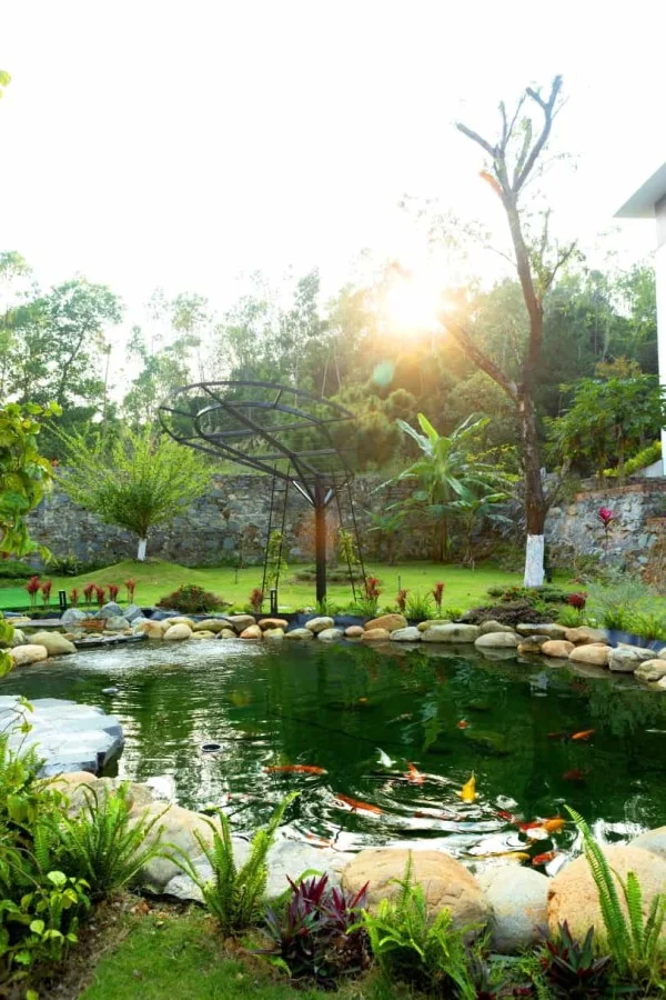 Ảnh Viva TĐ60 - 12