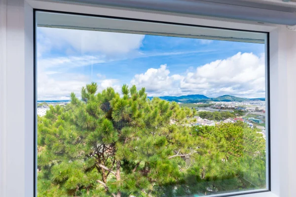 Ảnh Viva ĐL48 - 17