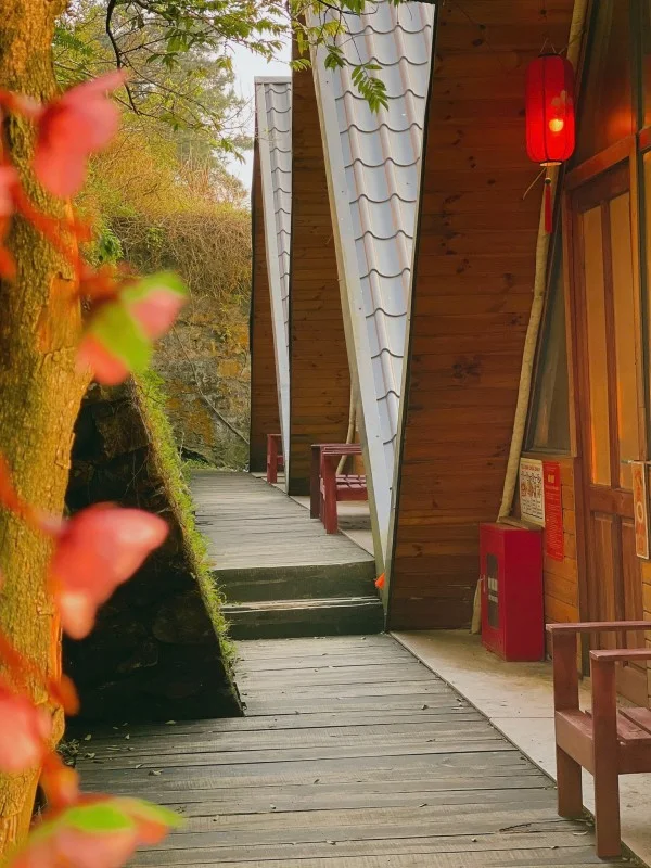 Ảnh Viva Homestay T9 - 8