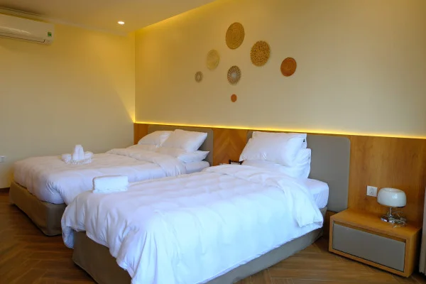 Ảnh Viva PT06 - 51