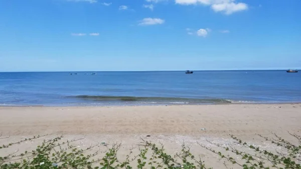 Ảnh Viva PT19 - 10