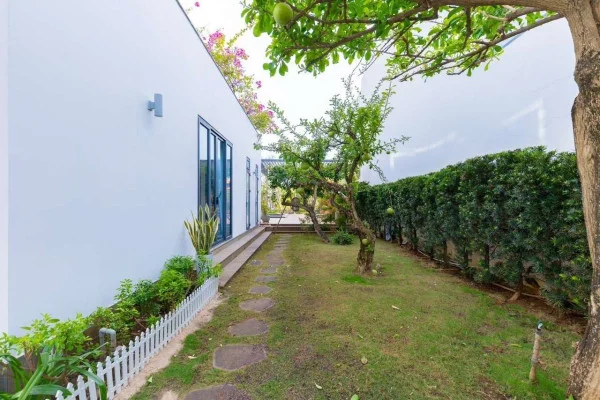 Ảnh Viva VT83 - 20