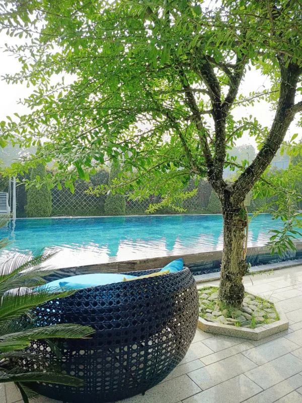 Ảnh Viva HB12 - 15