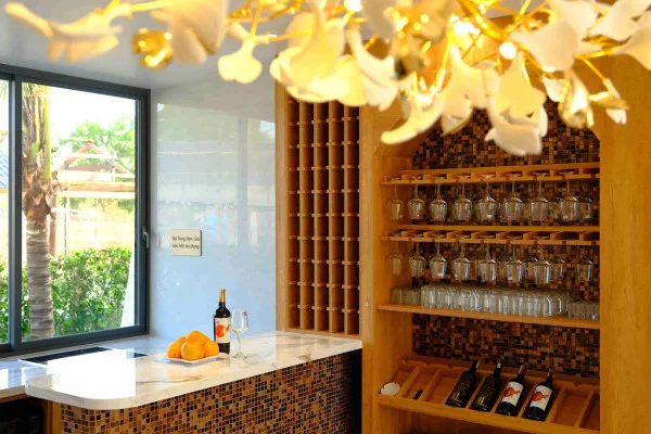 Ảnh Viva PT06 - 60