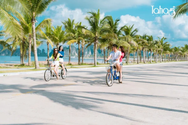 Ảnh Viva Q01 - View Biển - 29