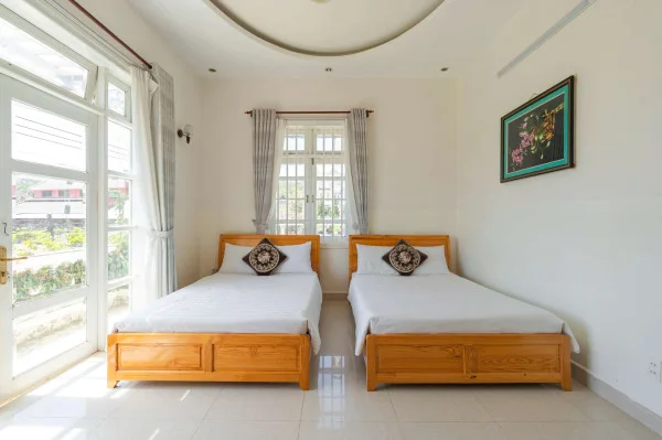 Ảnh Cẩm Tú Cầu 2 - 52