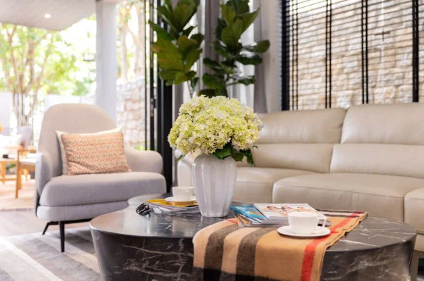 Ảnh Viva ĐL08 - 22