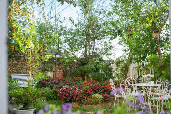 Ảnh Cẩm Tú Cầu 2 - 37