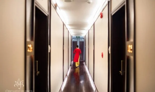 Ảnh Du Thuyền Orchid Classic - 14