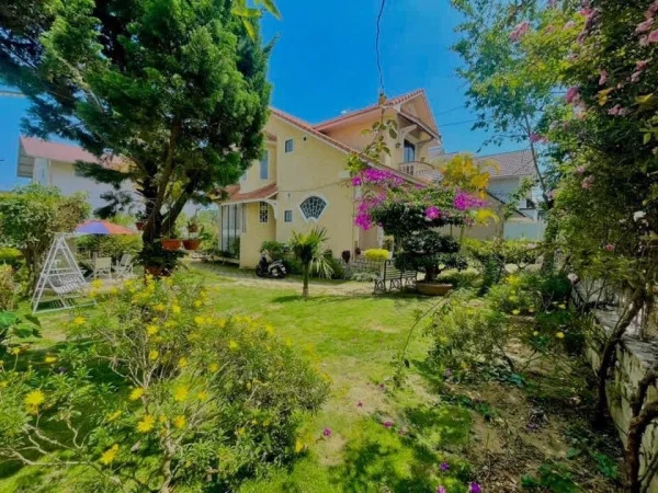 Ảnh Viva ĐL12 - 20