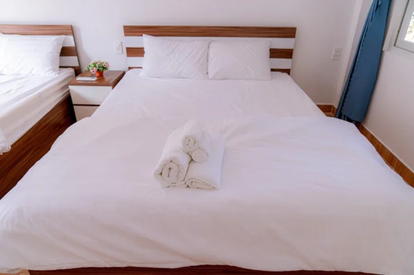 Ảnh Viva VT35 - 17