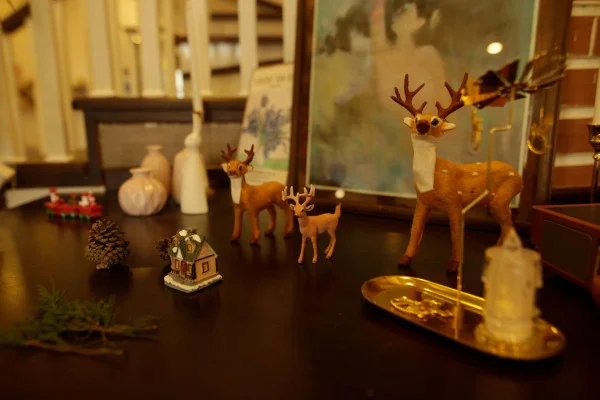 Ảnh Viva ĐL27 - 7