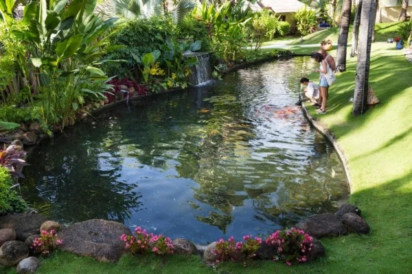 Ảnh Terracotta Resort - 36