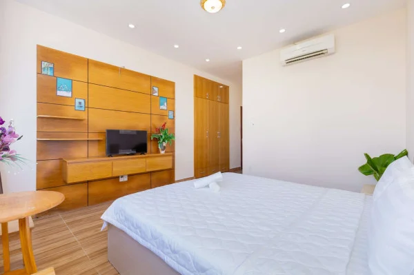 Ảnh Viva VT66 - 20