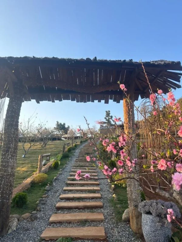 Ảnh Viva Homestay MC 09 - 12