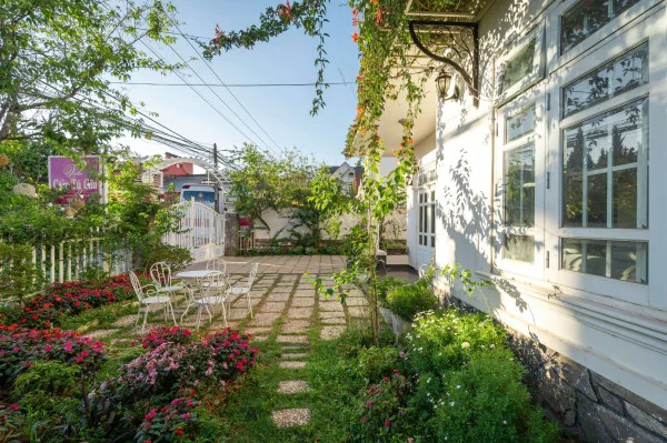 Ảnh Cẩm Tú Cầu 2 - 34