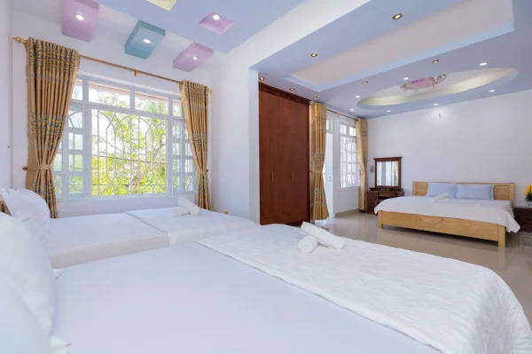 Ảnh Viva VT44 - 10