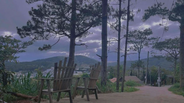 Ảnh Viva ĐL27 - 13