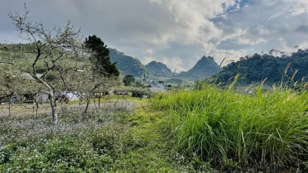 Ảnh Viva Homestay MC 08 - 16