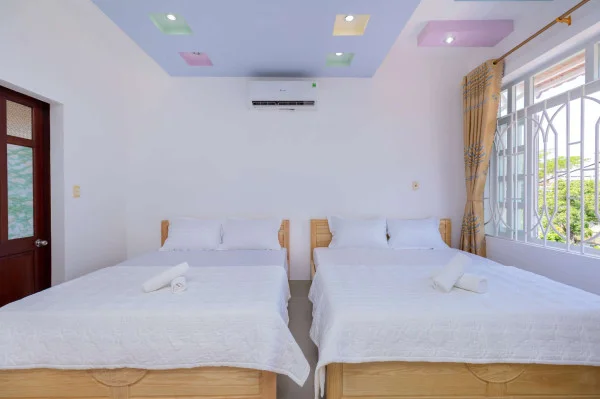 Ảnh Viva VT44 - 13