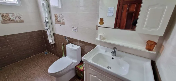 Ảnh Cẩm Tú Cầu 2 - 26